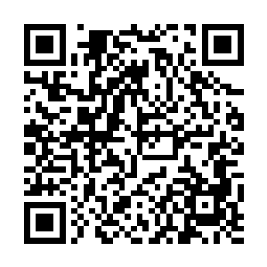 他就没听说过有谁会特意变成一颗白胖的大人参的~二维码生成