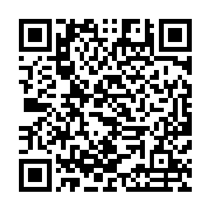 他就直接去朝堂上传皇后娘娘的懿旨――皇帝陛下龙体欠安二维码生成