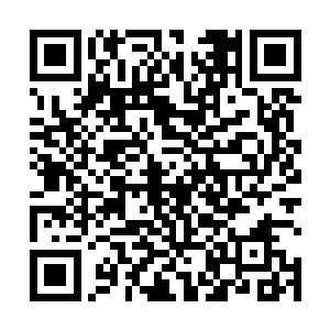 他就看到操纵着蜘蛛虚影的隆巴顿和罗斯比对拼了一记二维码生成