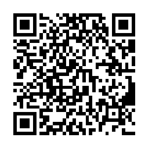 他就看到楚香瑗在先前那名中年男子的陪同下回来了二维码生成