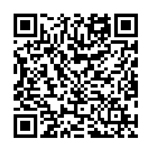 他就算不知道一个国内清华北大的毕业生一年能赚多少钱二维码生成