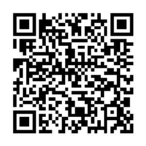 他就算是向向其他三大龙宫求援也已经无能为力二维码生成