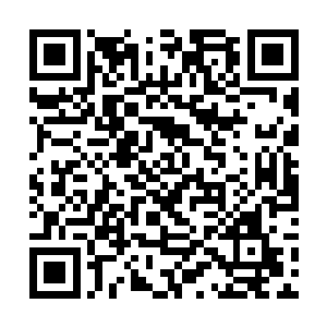 他就能以新的主将名义统御那些皇族子弟进军建昌府二维码生成