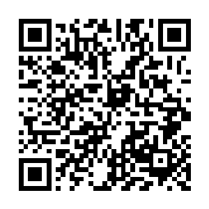 他就能看见酒店正面隔着一条大马路的城市全貌二维码生成