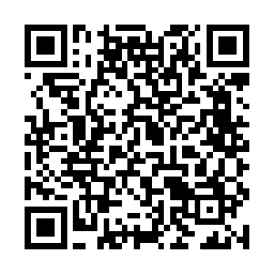他就要冲过去一脚踹死那个就会装可怜的恶毒小贱人二维码生成