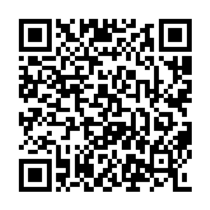 他就见过杨开动用这面虚级上品档次的盾牌秘宝二维码生成