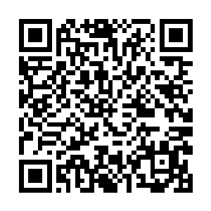 他就这样一路坐着飞船抵达了废土之地以外的废土城二维码生成
