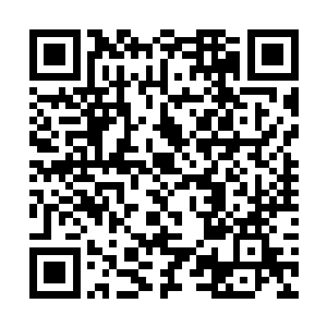 他尽管不是太喜欢王燕这种风情万种热情似火的美女二维码生成