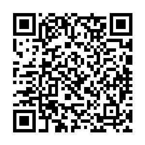 他居然以五鼎一阶的实力战胜了五鼎五阶的白衣老者二维码生成