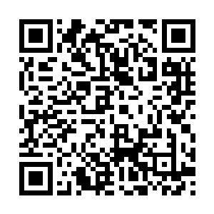 他居然在一处角落发现了一株七叶灵芝草……灵汁二维码生成