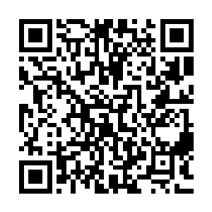 他居然在那冷漠无情霸道强势的少年脸上看到灿烂无比的笑容二维码生成