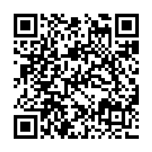 他居然承认自己被小川的女人打掉脸上的一块肉了二维码生成