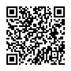 他居然把要去给姗姗当哥哥参加家长会这件事情给忘记了二维码生成