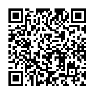 他居然抽了乌家堡少爷的耳光……他居然……做到了二维码生成