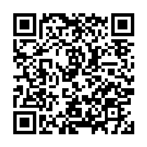 他居然敢在禹王庄的大殿上让人将九鼎门的太子打成这样二维码生成