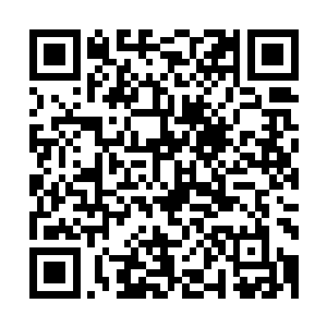 他居然直接夺走了卓玛的鞭子――胜利的果实突然就被夺走了二维码生成