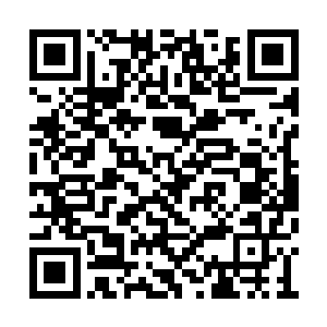 他居然陪着我坐在我从前在家里最爱坐的山坡上二维码生成
