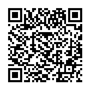 他巨大的拳头如同出膛的炮弹似的对着侏儒击了出去二维码生成