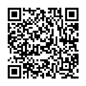他已经不知道有多久没有听过有人敢于这样拒绝自己了二维码生成