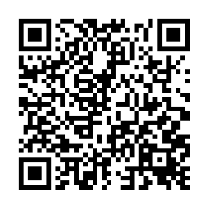 他已经不记得看过多少病死或者饿死在野外的百姓二维码生成