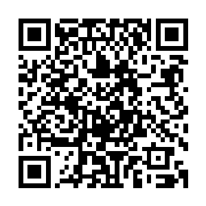 他已经从一个高校教师成功转型为圈里有一定名望的专家学者二维码生成
