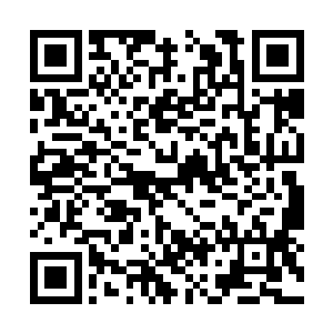 他已经从豆豆满是好奇的眼睛里看到了危险的色彩二维码生成