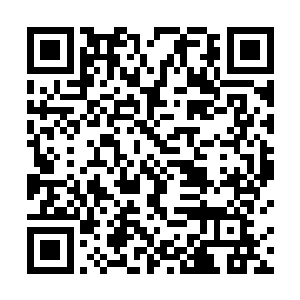 他已经伸出手准备要摸水心柔脸蛋的手瞬间又缩了回去二维码生成