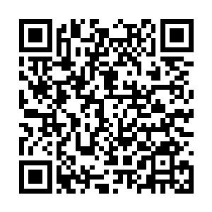 他已经做好了白星河就蛰伏在污水处理池里的准备二维码生成