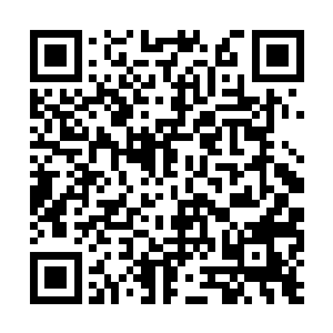 他已经几乎把四大宗派的天才弟子全都得罪了个遍二维码生成