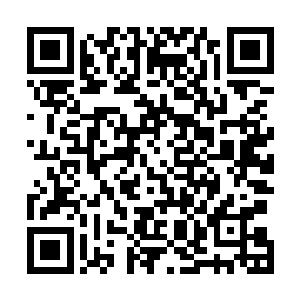 他已经凭借此剧获得了国内三大电视节的最佳导演奖提名二维码生成
