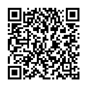 他已经发现了好几只实力大概在一阶左右的魔兽躲藏在暗处二维码生成