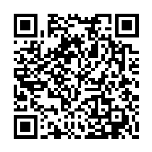 他已经发现这个让他特别在意的人是一名无角人二维码生成