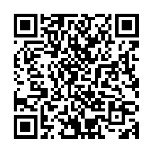 他已经可以断定卫星侦察到的那四尊石像肯定就是巫族的守护神二维码生成