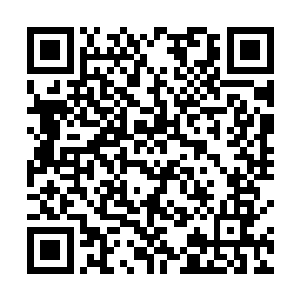 他已经将吸收了黑暗之心精华的龙纹玉珏塞到苏落怀里二维码生成