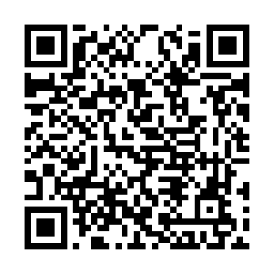 他已经很久没有像这样对着自己高喊神一样的少年二维码生成