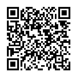 他已经很轻松的便找到了两种蒲节魔君点名需要的灵物二维码生成