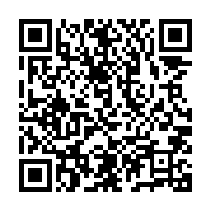 他已经得知了陨石战队的计划变动了……原本以为撑过第二阶段二维码生成