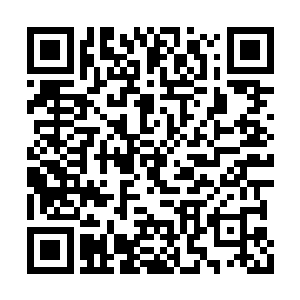 他已经接连三次使用魔气炼化那风魔血魂旗魔宝二维码生成