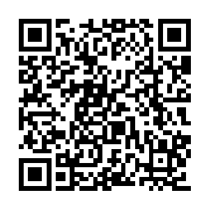 他已经是不知道多久没有感受到过受伤的滋味了二维码生成