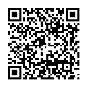 他已经给予一号别墅的防守力量最大限度的高估了二维码生成