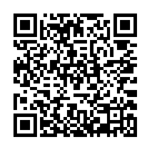 他已经越来越闹不清楚这家伙脑子里打的什么主意了二维码生成