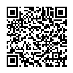 他已经顾不上明天一早是否会收到法庭的传票了二维码生成