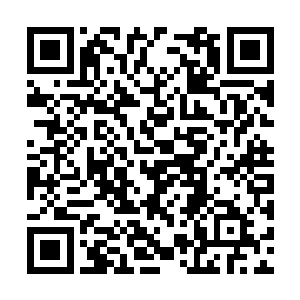 他巴掌直接将沈家公子打的在半空之中转了十几圈二维码生成