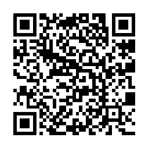 他布置了百鬼族的上古四大奇阵之一的斗转星移大阵二维码生成