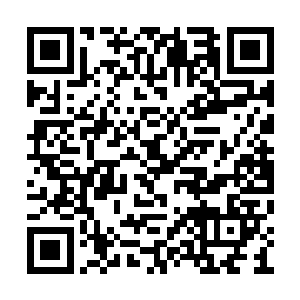 他师父诸葛玄去世时最耿耿于怀的就是师门失散二维码生成