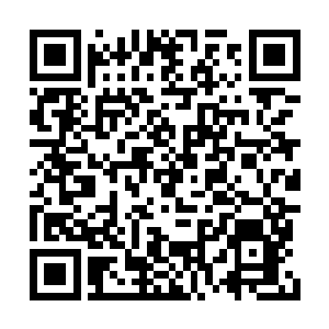 他希望楚门能够冲破这个摄影棚来到外面的世界二维码生成