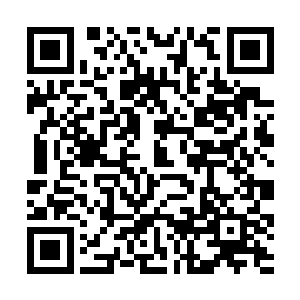 他希望给自己在神帝之位的人生画上一个完美的句号二维码生成