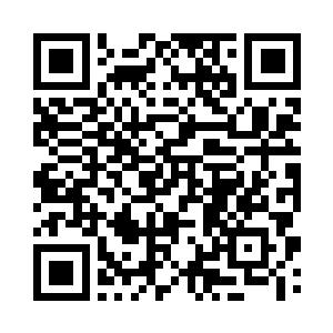 他带着众人朝着树林对面的草丛奔跑二维码生成