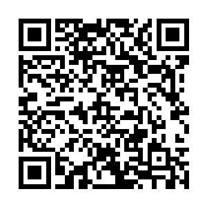 他带着草原狼帮竟然开始满华国寻找这个黑心老板二维码生成