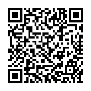 他带起一声巨吼咚得一声砸进了崖底的一片大呼二维码生成